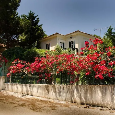 Renard Bleu Homes